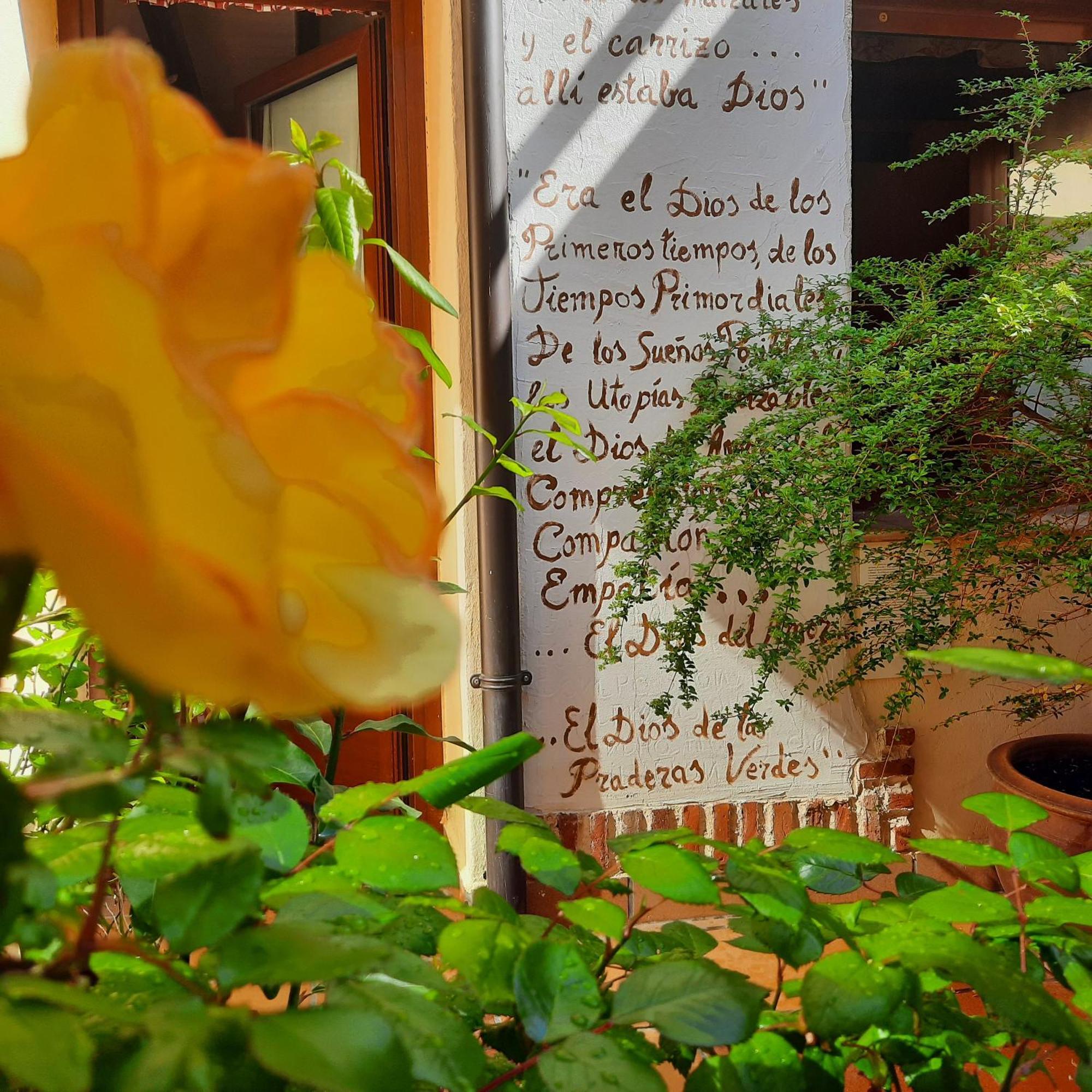 Beautiful Alamedas - Una Casa Rural Con Una Historia Unica Castronuno 外观 照片