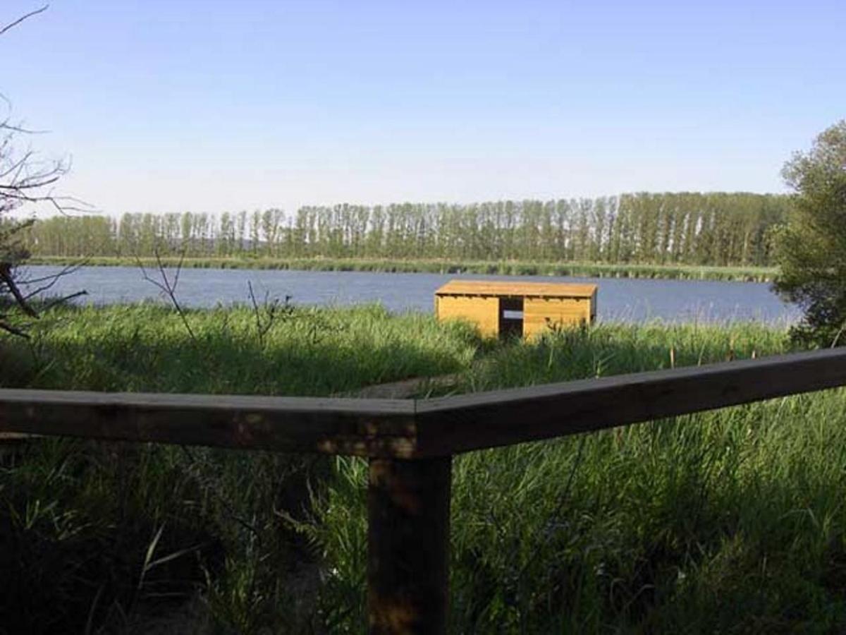 Beautiful Alamedas - Una Casa Rural Con Una Historia Unica Castronuno 外观 照片
