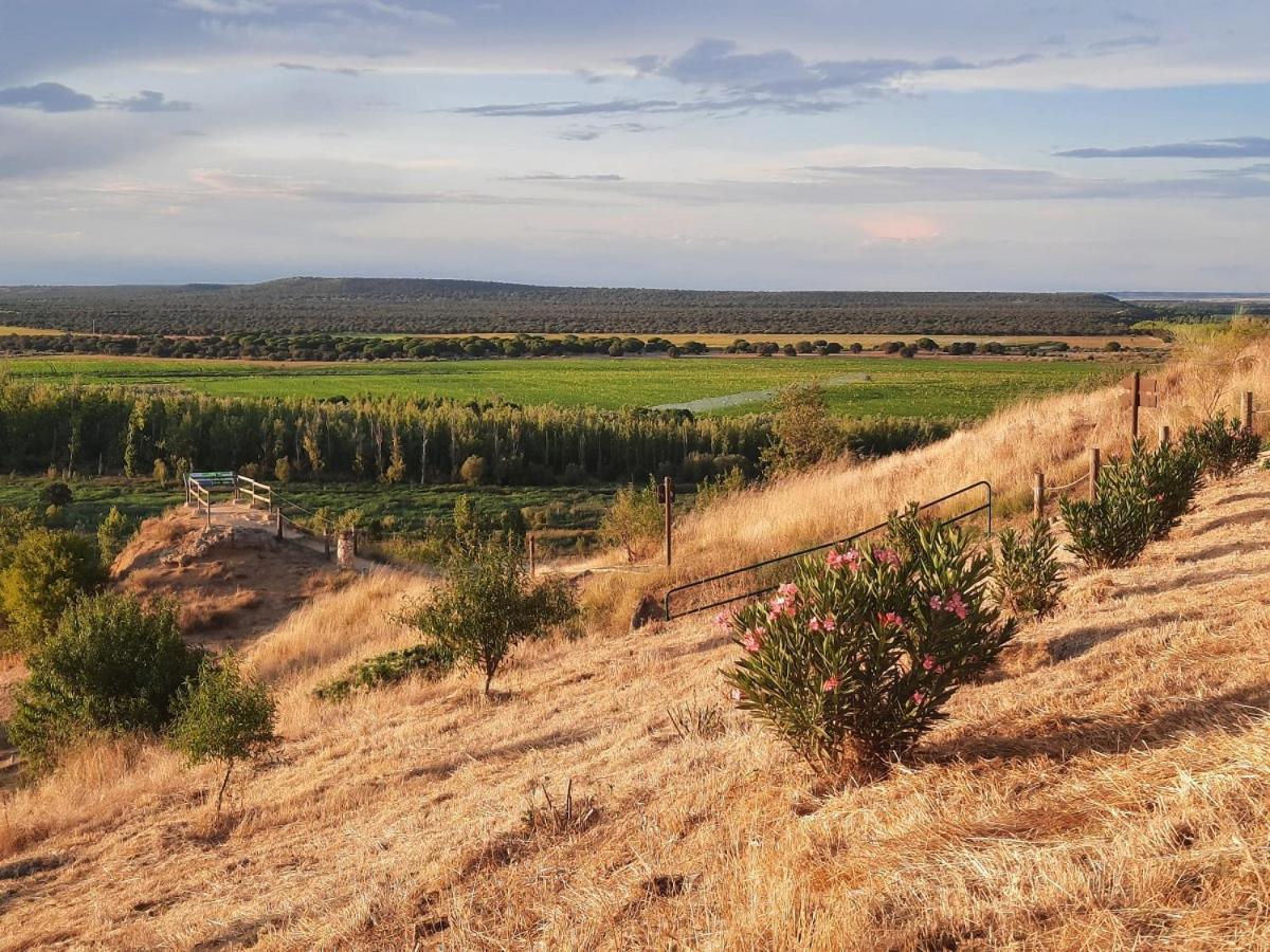 Beautiful Alamedas - Una Casa Rural Con Una Historia Unica Castronuno 外观 照片
