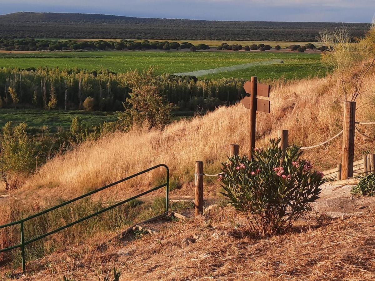 Beautiful Alamedas - Una Casa Rural Con Una Historia Unica Castronuno 外观 照片